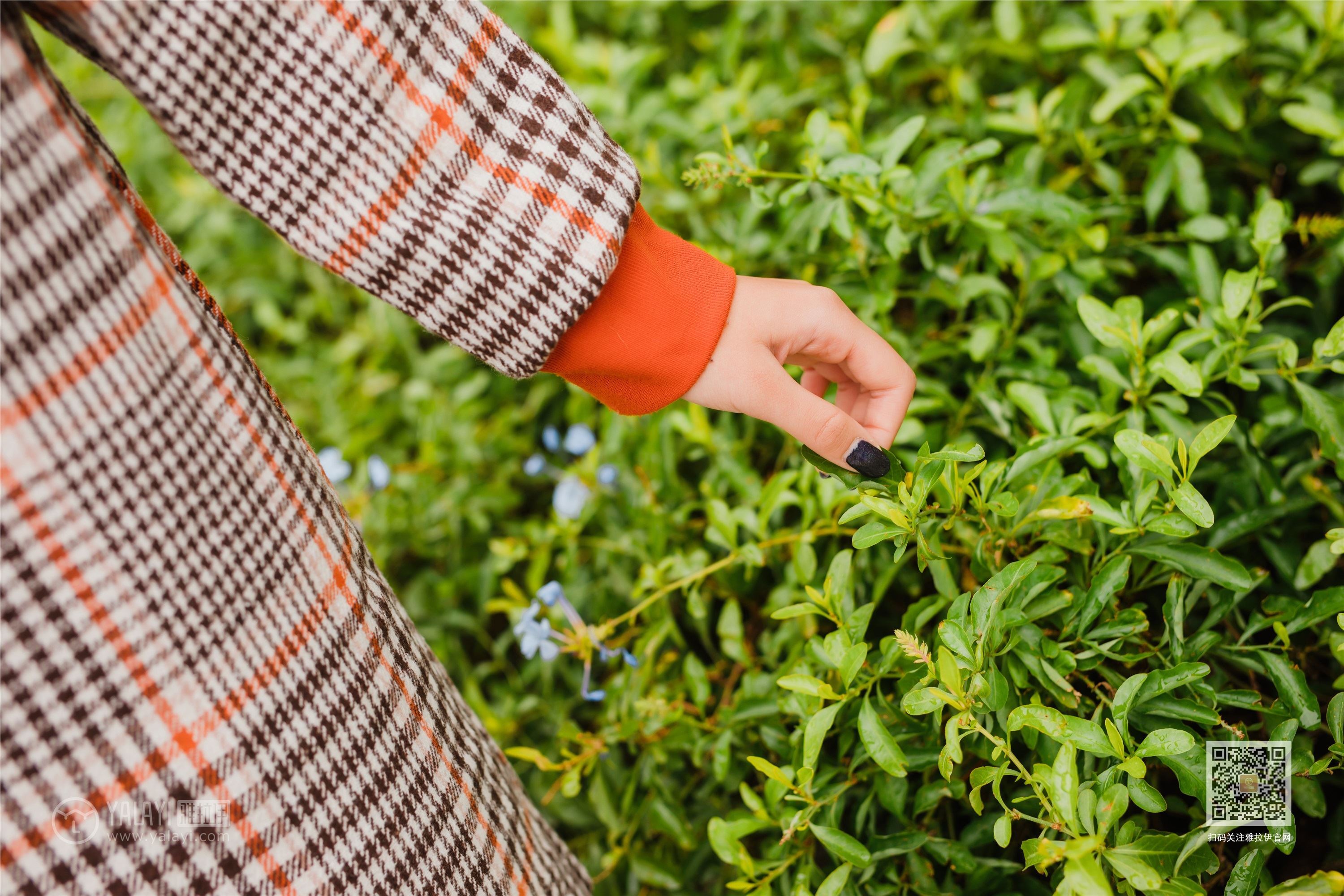 YALAYI雅拉伊  2020.02.13 No.543 郊游 小五